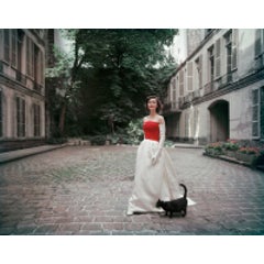 Balenciaga Faille and Satin Gown Photographed in Paris 5