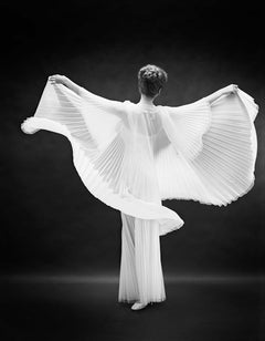 Vanity Fair Butterfly Robe Back