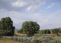 Sevier River Valley, Utah 8