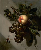 Still life with grapes and a peach