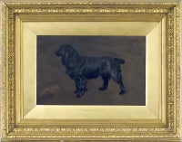Ch. Jetsam Bowdler, A Prize Black Cocker Spaniel, 1906