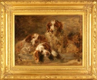 Clumber Spaniels in a Kennel