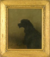 Black Poodle, 1912