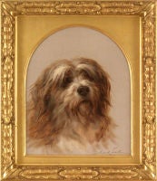 Terrier Head Study, 1904