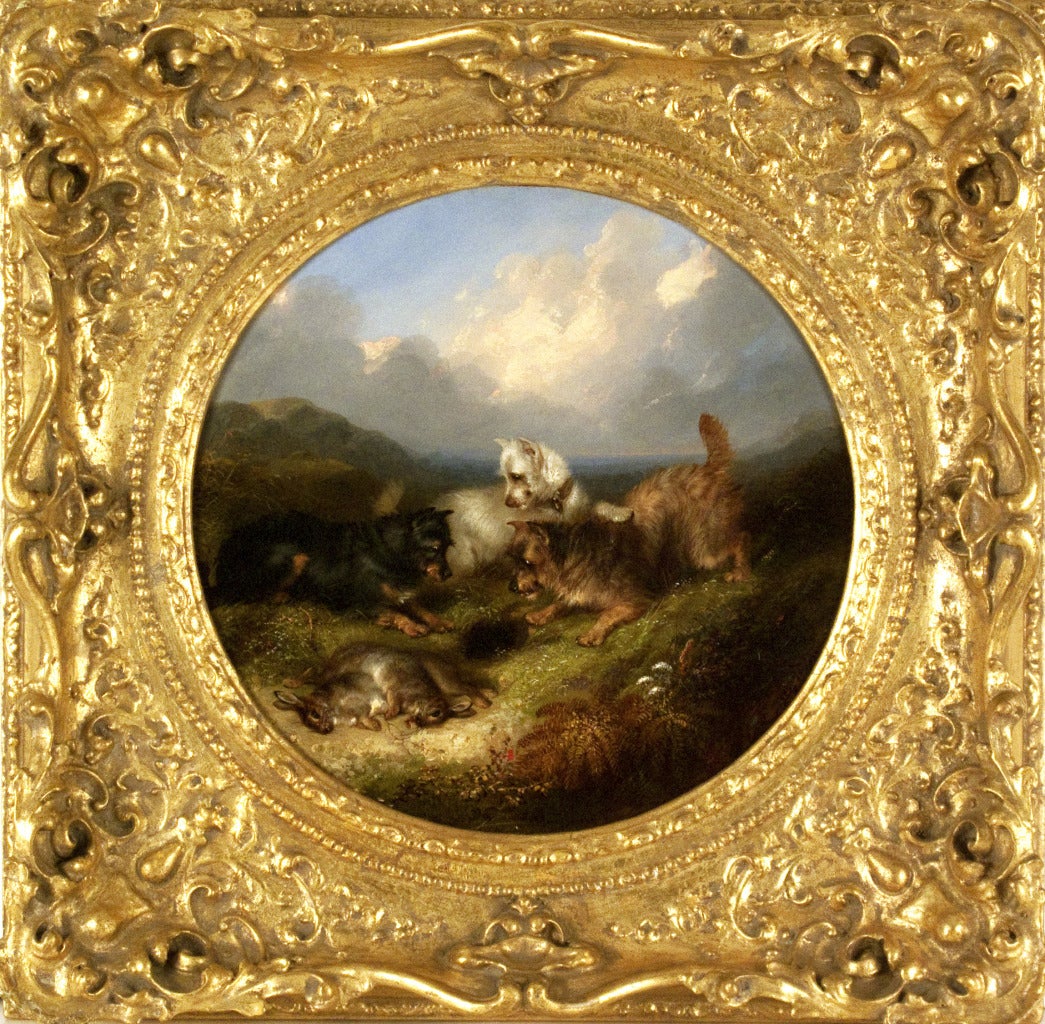Terriers Rabbiting - Painting by George Armfield