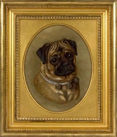 Pug With Bell Collar