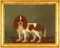 Antique Cavalier King Charles Spaniel on the Table
