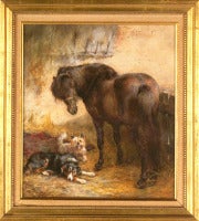 Pony, Skye Terrier, and Working Sheepdog in Stable, 1884