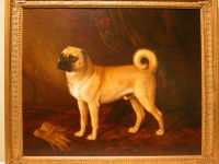 Antique Pug with a Glove