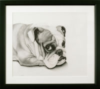 Portrait of a Bulldog, 2009