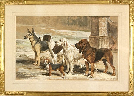 Reuben Ward Binks Animal Painting - Cito, Benson, Jolly Bay, Charm and Clover