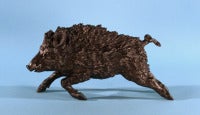Wild Boar