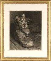 Kitten in the Shoe, 1880