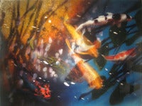 Reflections over Koi