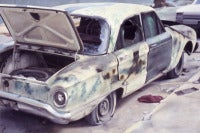 Falcon