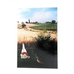Tuscany, Sleeping Woman, 1996 7