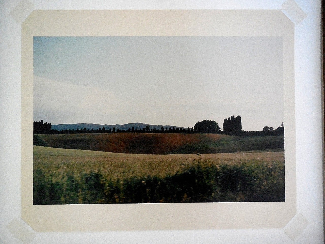 joel meyerowitz tuscany