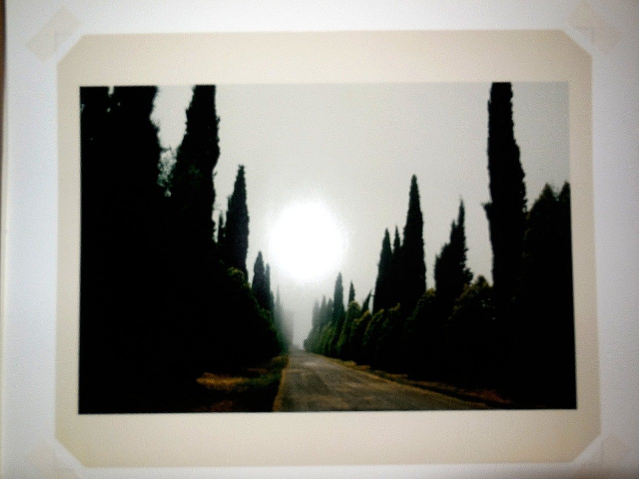 Tuscany, Castello, 1996 - Photograph by Joel Meyerowitz