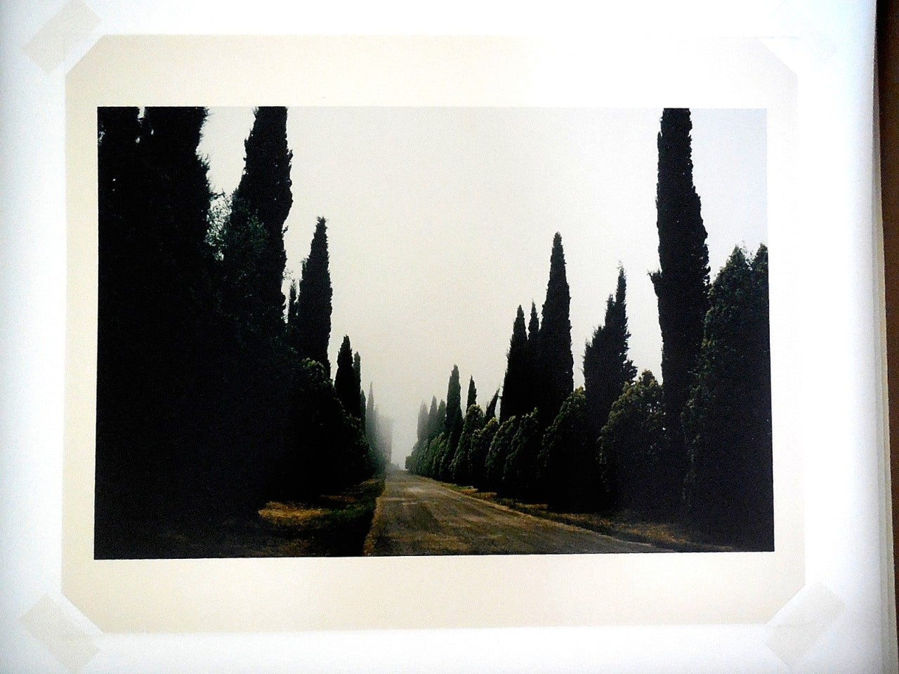 joel meyerowitz tuscany