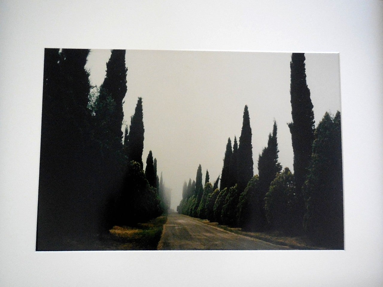 Tuscany, Castello, 1996 - Black Landscape Photograph by Joel Meyerowitz