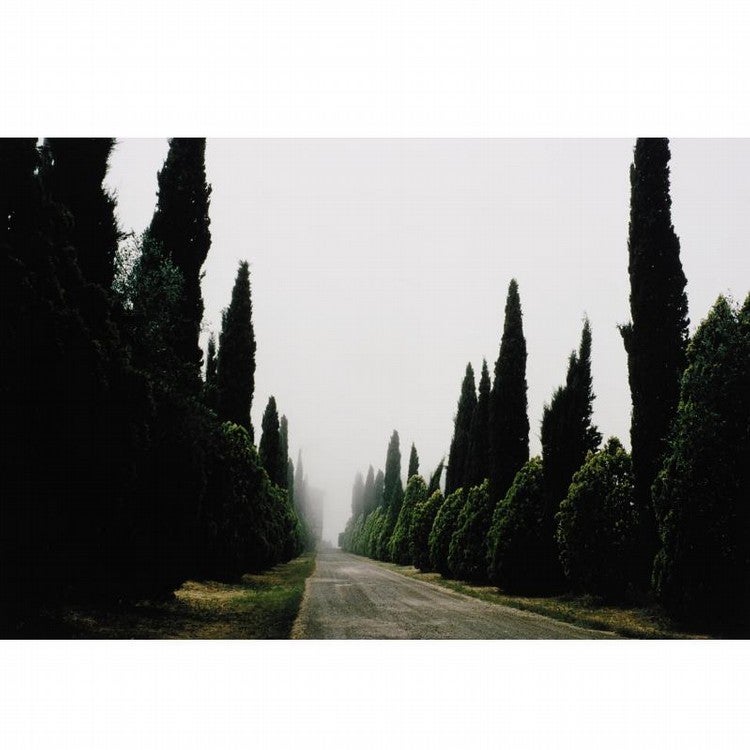 Joel Meyerowitz Landscape Photograph - Tuscany, Castello, 1996
