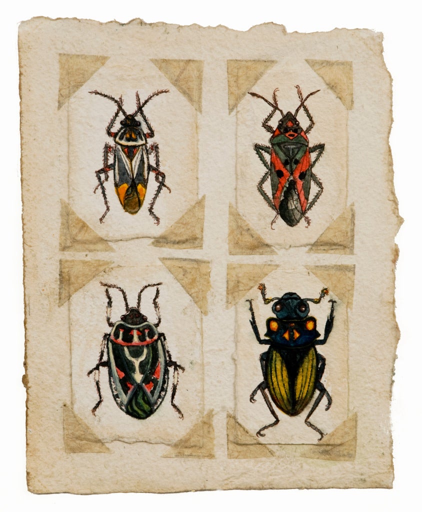 Beetles #3 - Art by Ruth Bauer