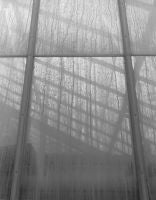 Greenhouse I