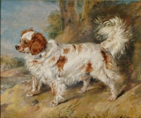 Antique Mr Plumber's Dog by Sir Edwin Henry Landseer RA 