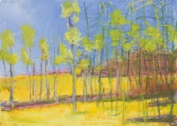 Trees Turning Yellow