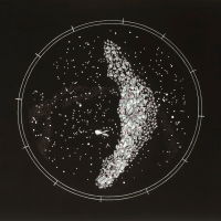 Things Pass By in the Night: Murmuration 4
