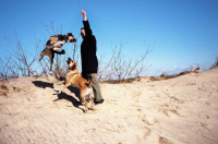 Casey, Rothko, Sam, and Ralph, December 2008