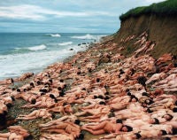 Montauk 4