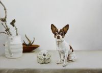 A Simple Case Of Them Or Me