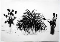 Two Vases of Cut Flowers and a Liriope