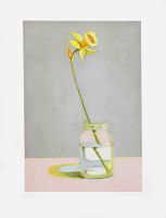 Daffodil, from Recent Etchings I