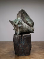 The Shell and the Log