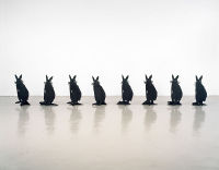 Rabbits