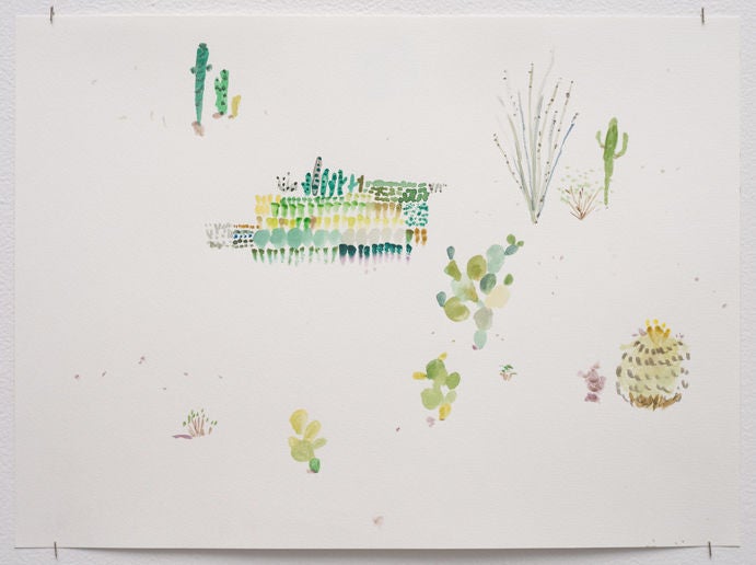 Lisa Sanditz Landscape Art - Cactus Farm