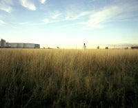 Movie Theater in a Field