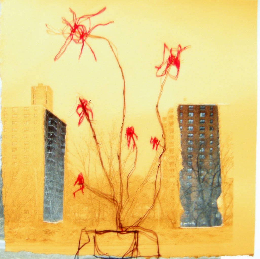 Gerald Slota Still-Life Photograph - Flowers and Housing (From Urbania series)