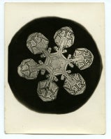 Antique Untitled, Snowflake
