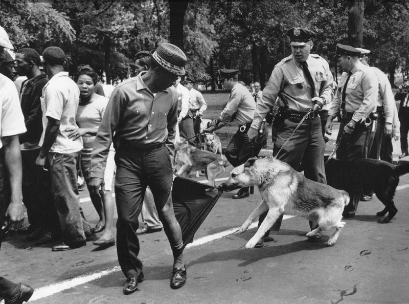 Les policiers utilisent des chiens de police lors des manifestations contre les droits civiques, manifestations de Birmingham, mai 1963 - Photograph de Charles Moore
