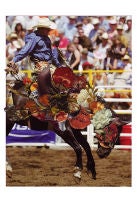 Rodeo 3, 2011