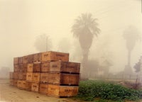 Fog, Kings County, California, 1985