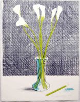 Lillies