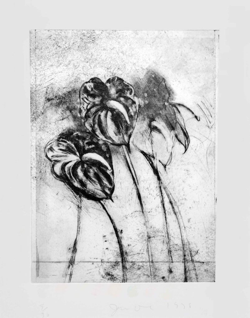 Jim Dine Still-Life Print - Anthurium, from Temple of Flora