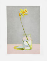 Vintage Daffodil, from Recent Etchings I