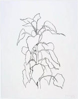 Sunflower II