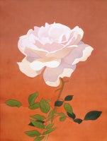 Pale Pink Rose on Orange Background