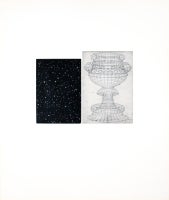 Constellation - Uccello 4